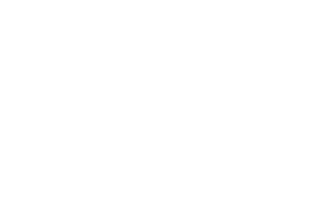 Asistencia Técnica Newland